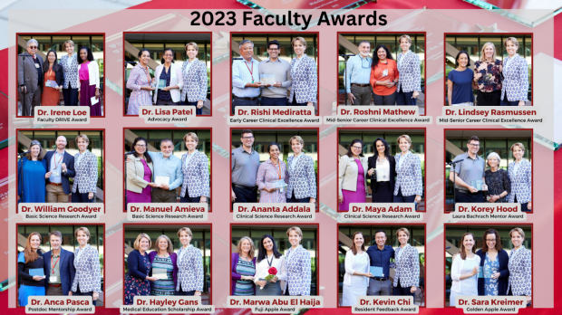 2023 Faculty Awards